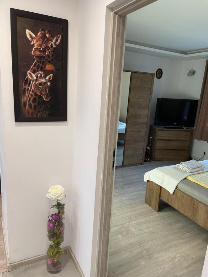 Prestige Apartament Elblag Dış mekan fotoğraf